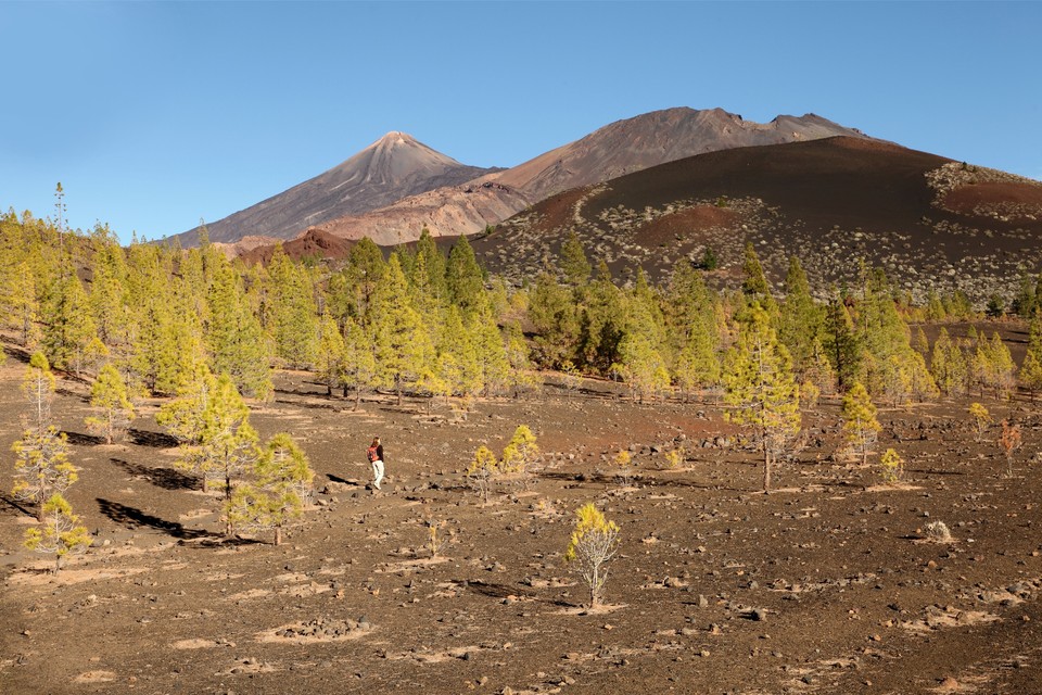 Montée vers le Teide, plus haut sommet de Ténérife, novembre 2012