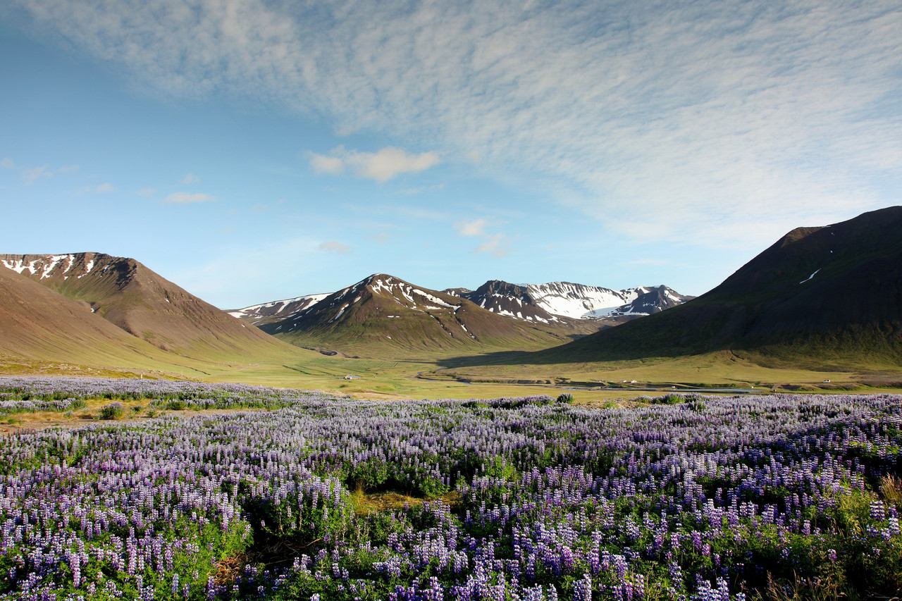 Les Alpes du Nord-Ouest, Islande