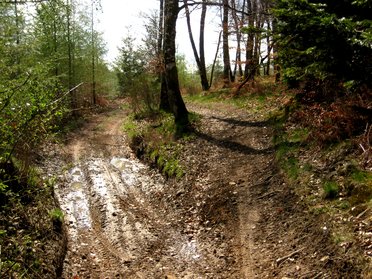 photo de quad détruisant un sentier