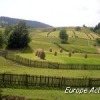 A travers les Carpates: de Bucovine au Maramures