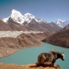 Gokyo, Katla et boulet de retour