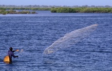 LE LABYRINTHE DES ILES DU SALOUM-FAMILLE