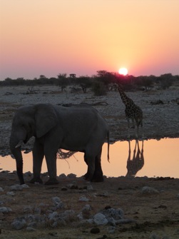 LE TOUR DE NAMIBIE 21J