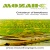 Profil Mozaik Voyages