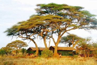 Rencontres kenya