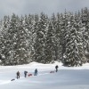 Ski de randonnée nordique en video