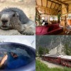 Sur les traces de Marie Paradis