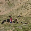 Trekking, Randonnée Saghro Maroc