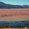 Volcans de Bolivie et Salars d'Uyuni