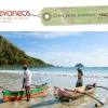 Voyages au détour du monde