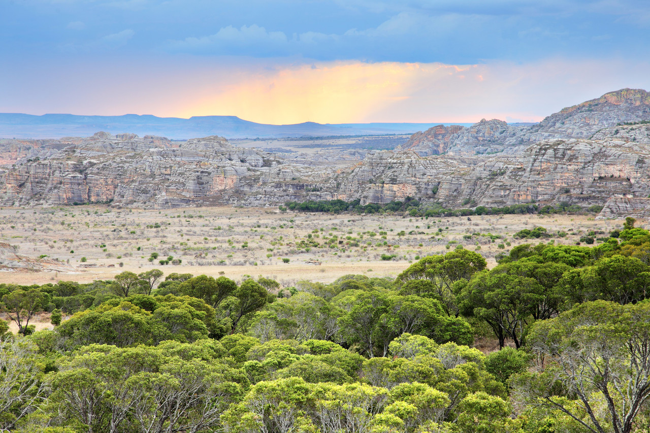 paysage de madagascar