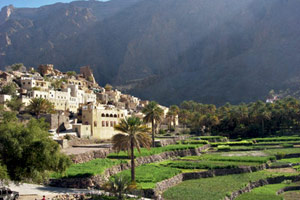 Absolut' Oman