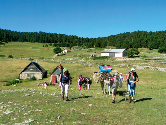 Accrobranche, rando et spéléo en Vercors