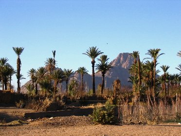 L'Algérie et ses régions de trek