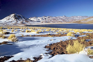 Andes sans frontières