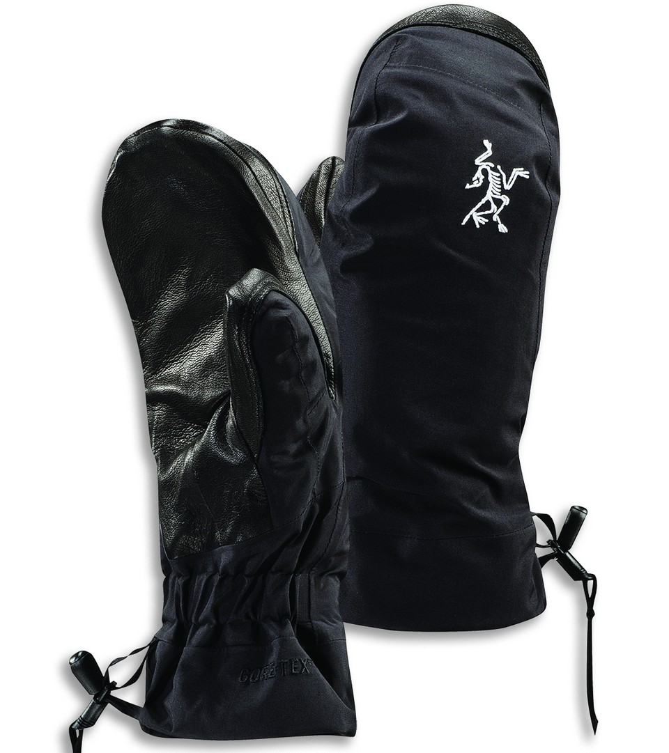 Arcteryx Beta Ar Mitt