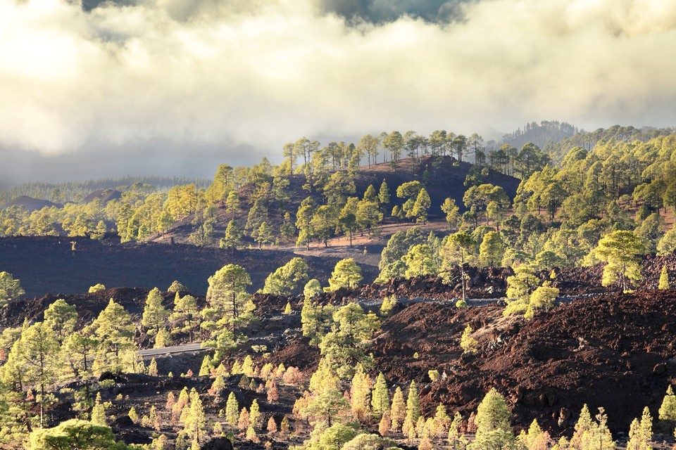 Ascension du Teide