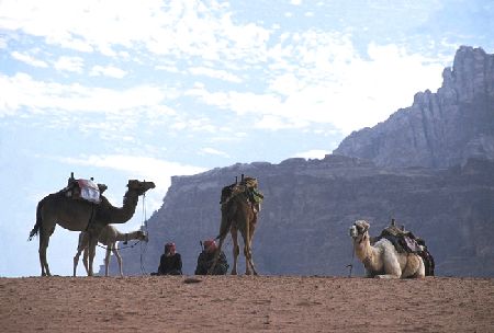 Au royaume des Nabatéens