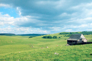 Aubrac chlorophylle (Languedoc-Roussillon)