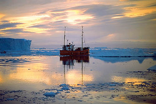 Aurores et icebergs