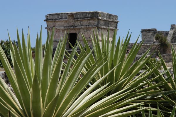 Aventure au pays Maya