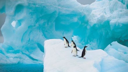 Aventure en péninsule Antarctique