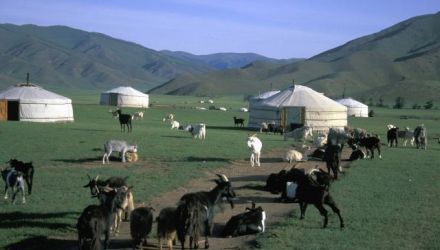 Aventure mongole en famille