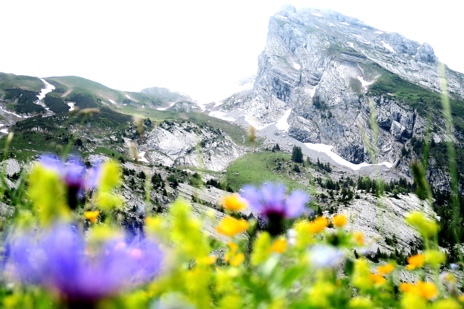 Balade dans les Aravis - La Clusaz