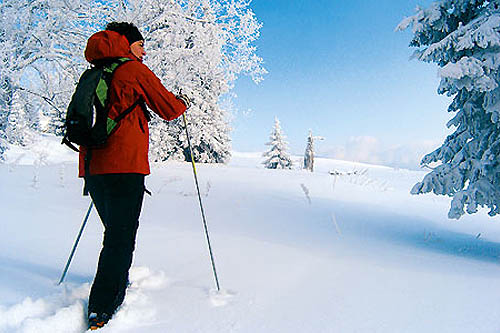 Balades en Vercors