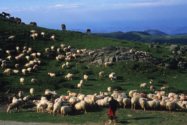 BASABÜRIA Haute Soule - Pays Basque