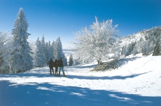 BAVIERE ETINCELANTE