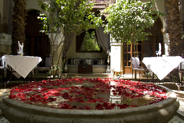 Bonheur à Marrakech et dans le Sud
