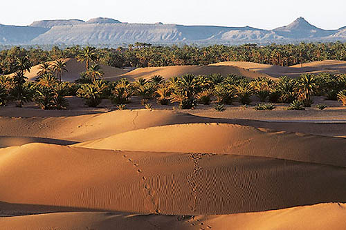 Camp du Désert et Sagho
