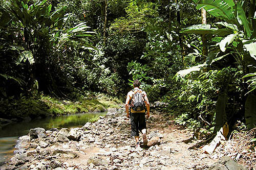 Caraïbes authentiques