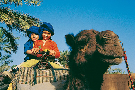 Carnets du Grand Sud