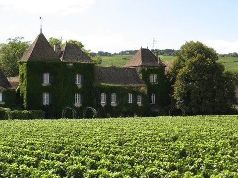 Côte de Beaune, chemin des grands crus