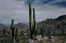 CERRO CHANI ET NEVADO DE CACHI (6380 M)