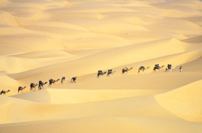 Chinguetti et les dunes du Mghalig - 22 jours