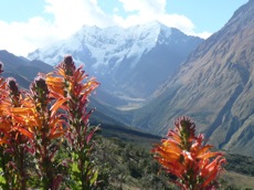 CHOQUEQUIRAO ET VILCABAMBA
