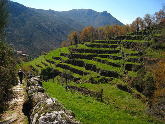 Découverte des terres incas