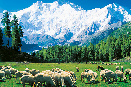 Découverte du Pakistan