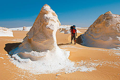 Désert Blanc et oasis