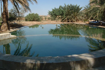 Désert Blanc et oasis de Siwa