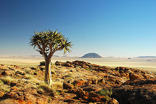 Désert du Namib et Kaokoland