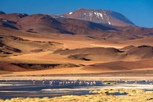 Désert et volcans des Andes