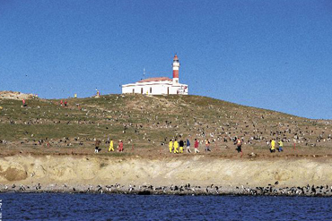 De Buenos Aires à Ushuaia en liberté