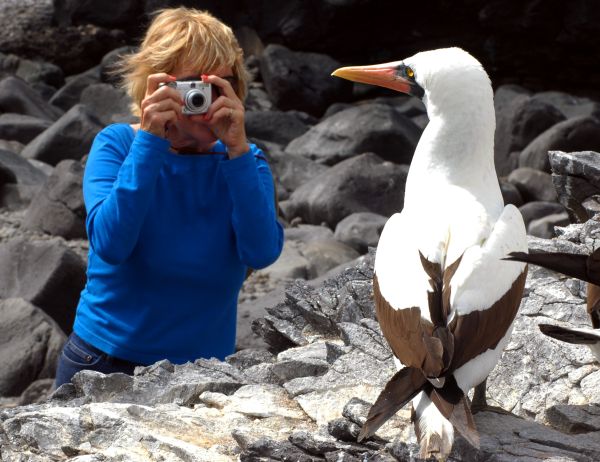 De la Sierra aux îles Galapagos