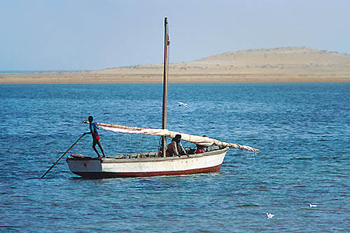 De l'Adrar au banc d'Arguin