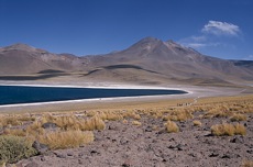 DE LAGUNE EN SALAR