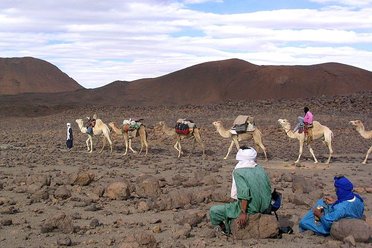 De Tamanrasset aux Tassili du Hoggar